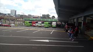 terminal de buses de los caribeños  san José costa rica. screenshot 5