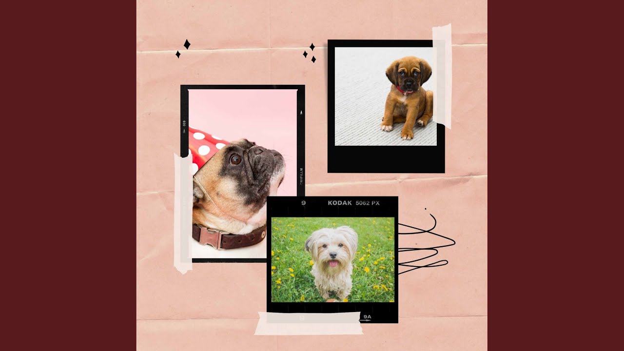 Watch Smoky Puppy Therapy on YouTube Watch Smoky Puppy Therapy on YouTube