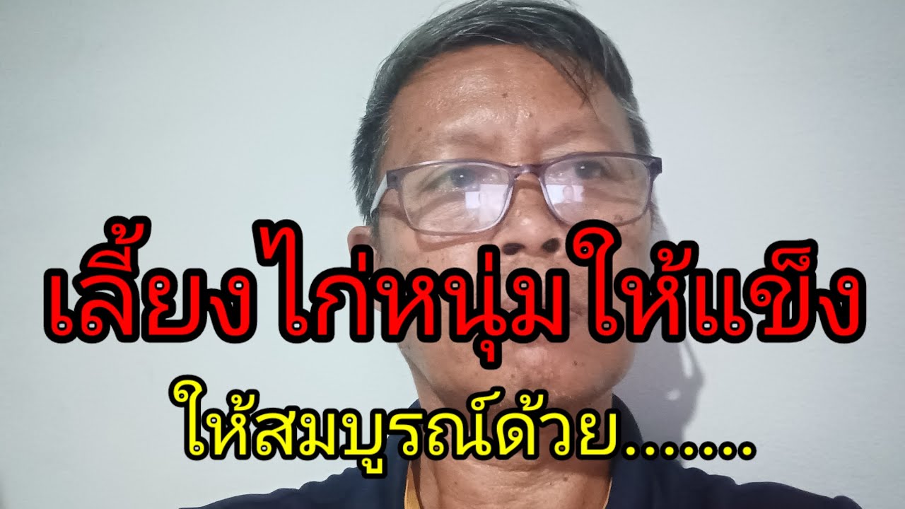 เลี้ยงไก่หนุ่มให้แข็งให้สมบูรณ์ด้วย.......