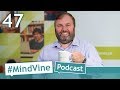 Mindvine podcast episode 47  dr mike slade