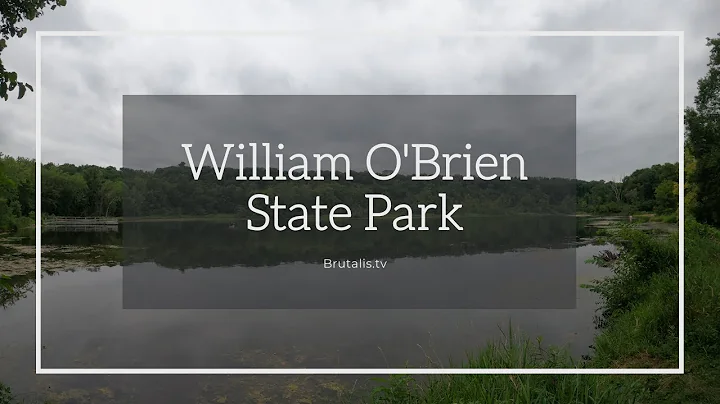William O'Brien State Park, Minnesota 4k! (August)...