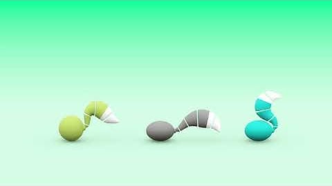 ball with tail animation reference - Rhidio arkian diadon Does4