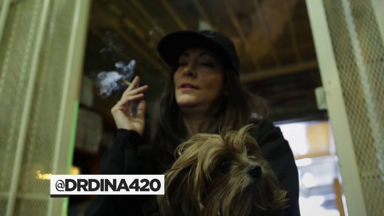 DNA Genetics visits AHHS Dispensary (Alternative Herbal Health Services)