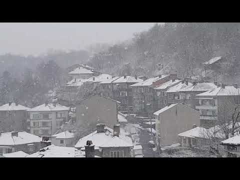 Tarnovo 24/03/2020