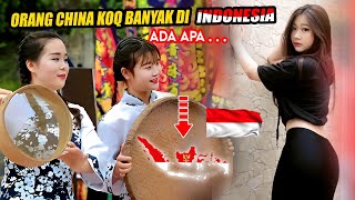 Ada Apa Dengan Indonesia Mengapa Banyak Orang Cina Yang Kaya Di Nusantaragini Asal Usulnya