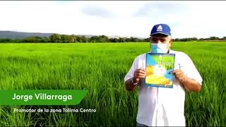 Mattok, Fungicida Bioestimulante Único En El Mercado