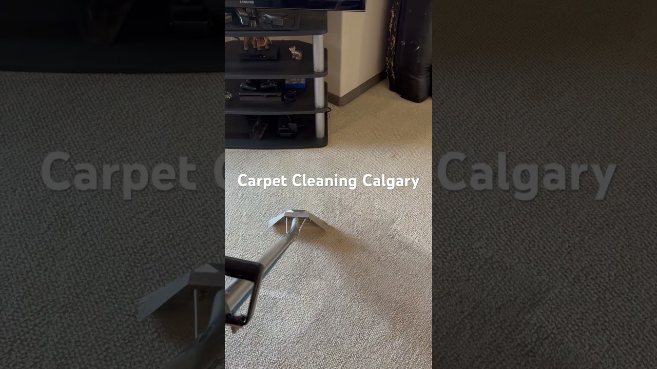 Dirty Carpet Cleaning  in Calgary