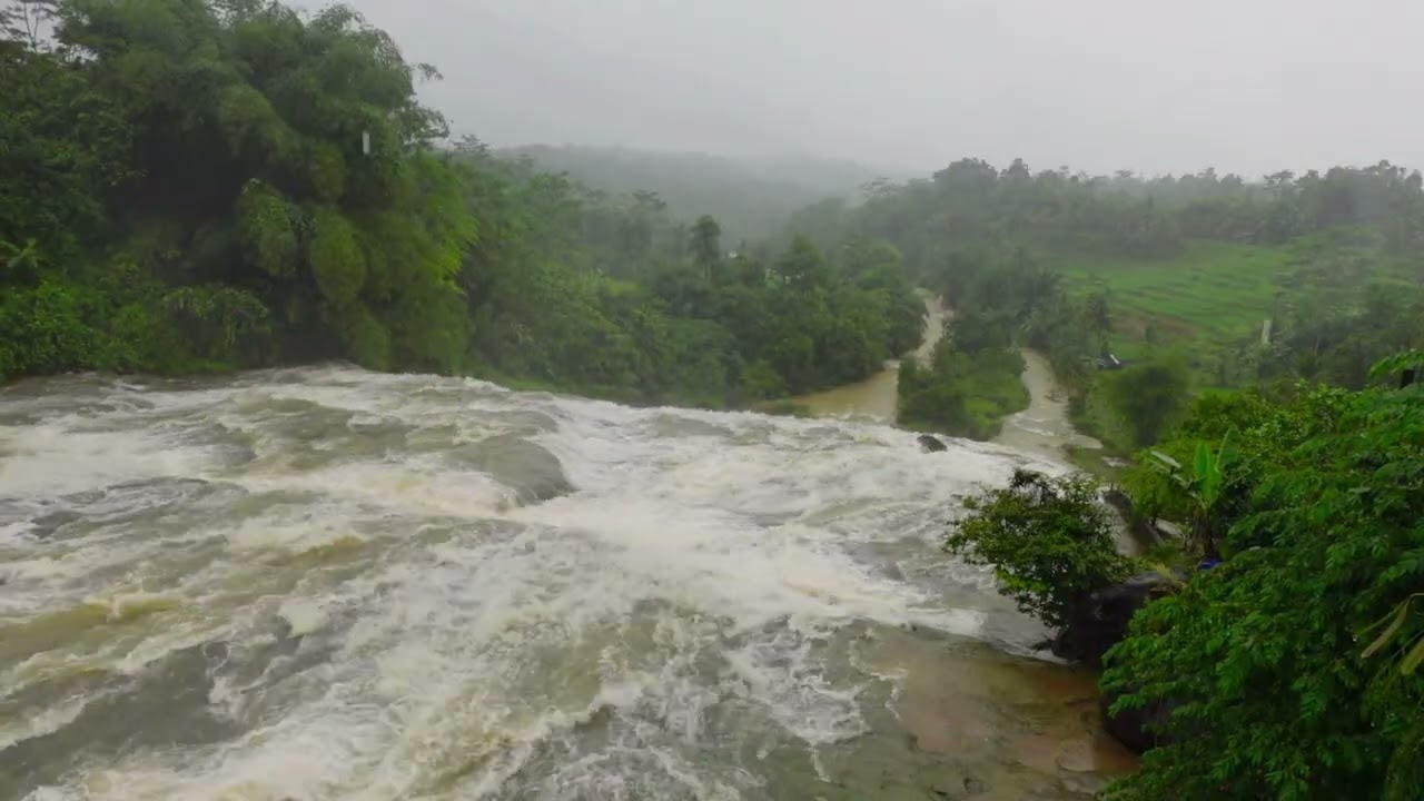 Forest River Flowing in Rainy Weather. Nature Sounds, Forest River, White Noise for Sleeping.