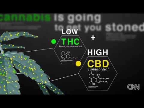 CBD Gummies with THC for Sleep: A Gentle Approach to Relaxation