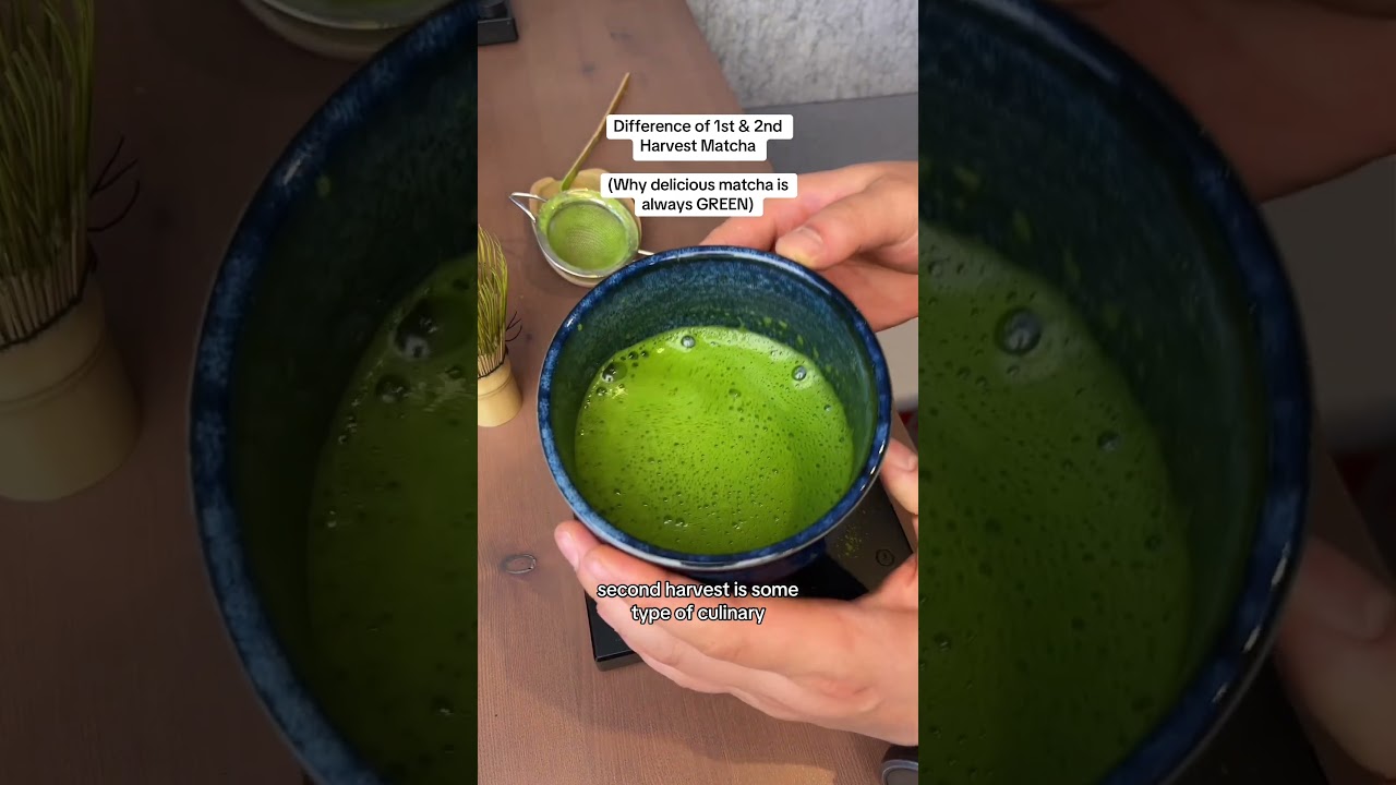 First & Second Harvest Matcha — The difference 
