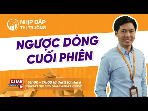 Nhận định chứng khoán 12-11: NGƯỢC DÒNG CUỐI PHIÊN | Nhịp đập thị trường 12-11