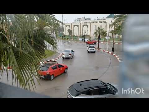 فضيحة البيتوتي داخل المطعم زلة لسان فضحتهم حقيقة زيرو تفاهة وحكاية جديدة 