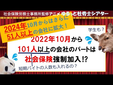 ゆるっと社労士シアター10「社会保険適用拡大★2024年10月さらに拡大★」をアニメで解説！「101人以上（51人以上）の会社ではパート・アルバイトも社会保険強制加入ってホント！？」※社労士事務所監修