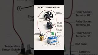 Cooling Fan Wiring Diagram Explained 🔧 | Battery → Fuse → Relay → Temperature Sensor #shorts