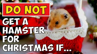 Don't Get A Hamster For Christmas If... screenshot 4