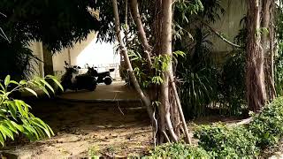 Sanya aviation tourism college in China