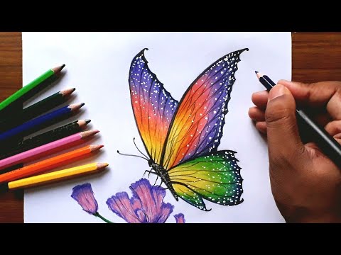 How to draw a butterfly real easy | Step by Step with Easy - Spoken  Instructions - YouTube