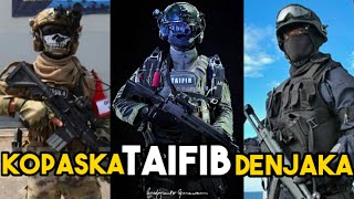 Denjaka, kopaska dan Yontaifib, Pasukan Elite TNI AL Andalan Indonesia #KOPASKA #DENJAKA #TAIFIB