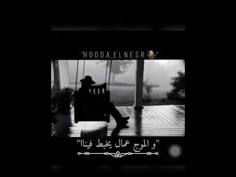حلات وتس رضا البحراوي الدنيا بتتعافا عليناا الجديد ٢٠٢١