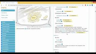 Celebrity UniProt Database Tutorial  A Beginners Guide Net Worth
