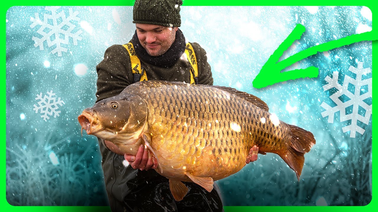 CARPE DA SOGNO in INVERNO? ❄️🐟 Questi sono i MIGLIORI CONSIGLI per la pesca invernale! 💪🔥