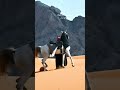 ٣٠ كانون الثاني ٢٠٢٢