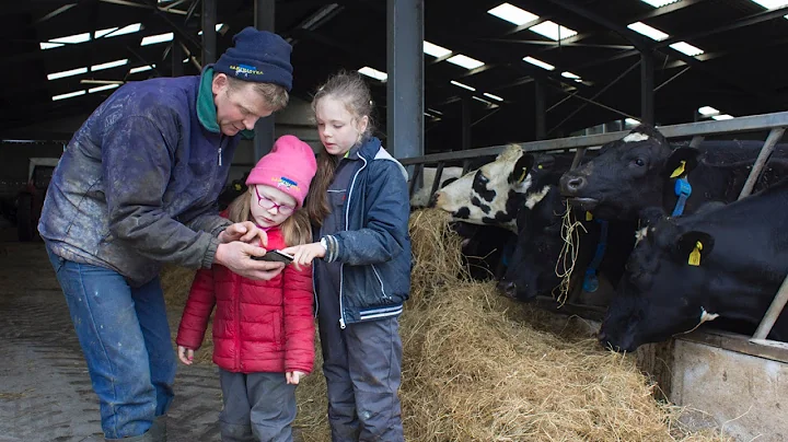 John Macnamara installs MooMonitor+ cow heat and h...
