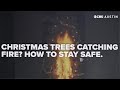 Your Christmas tree could combust! Here's how to keep your home safe from fires during the holidays