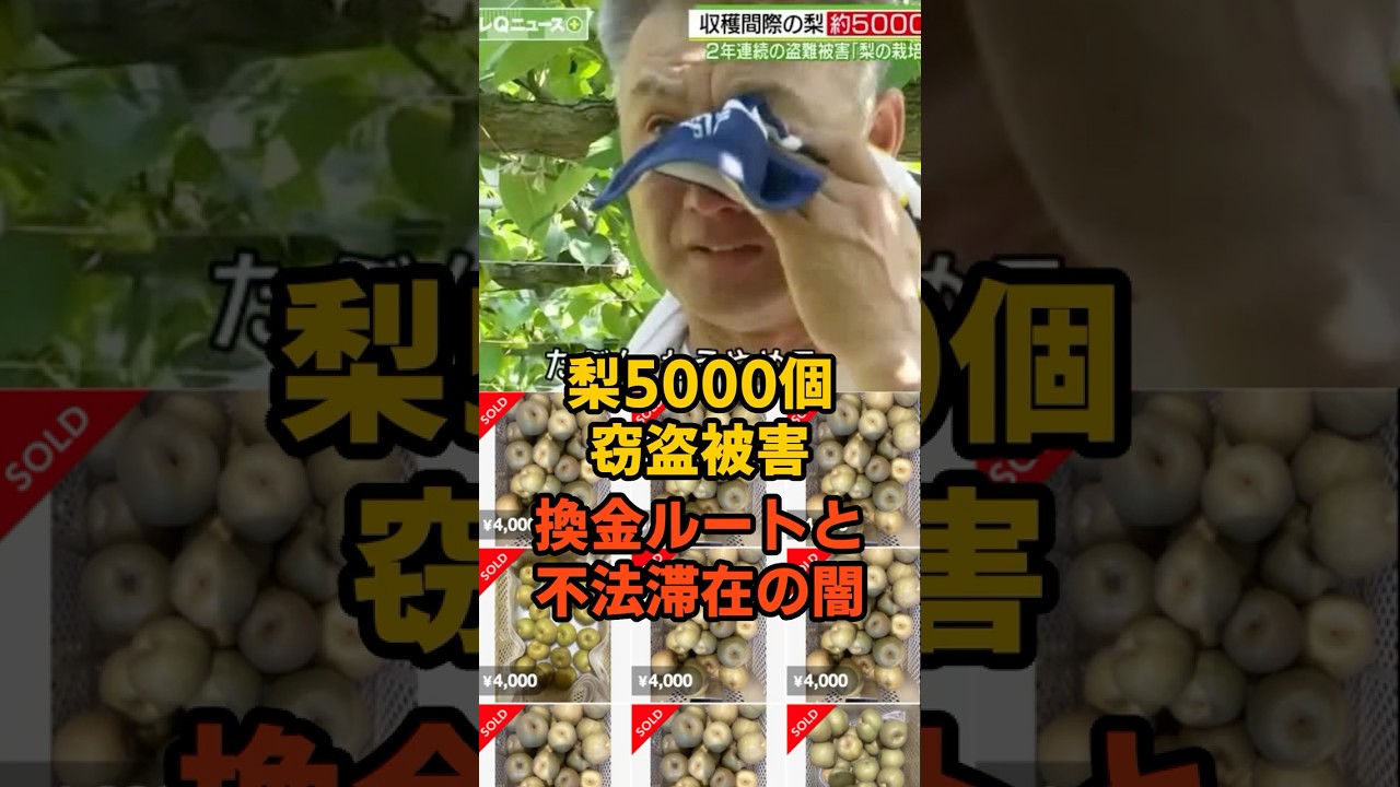 農業を潰す不法滞在と不正転売。梨大量盗難事件から見る社会の欠陥