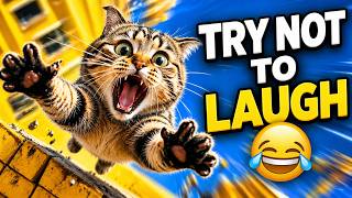 Funny Cats Compilation 2026 😂 | Try Not To Laugh