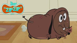 Sam or Wash ? | Zip Zip | 3 hours COMPILATION  Season 1 | Cartoon for kids