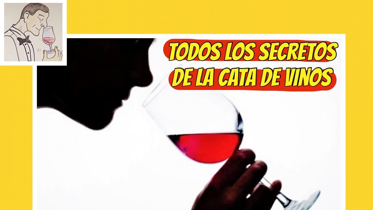 (18) TODOS LOS  SECRETOS DE LA CATA DE VINOS