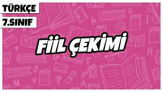 7 Sınıf Türkçe - Fiil Çekimi 2022