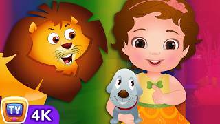 chuchu adopts puppy bedtime stories 4k kids chuchu tv storytime