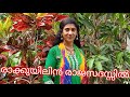 വീണ്ടുമൊരു പഴയ മനോഹര ഗാനവുമായി .....അജിത ടീച്ചർ