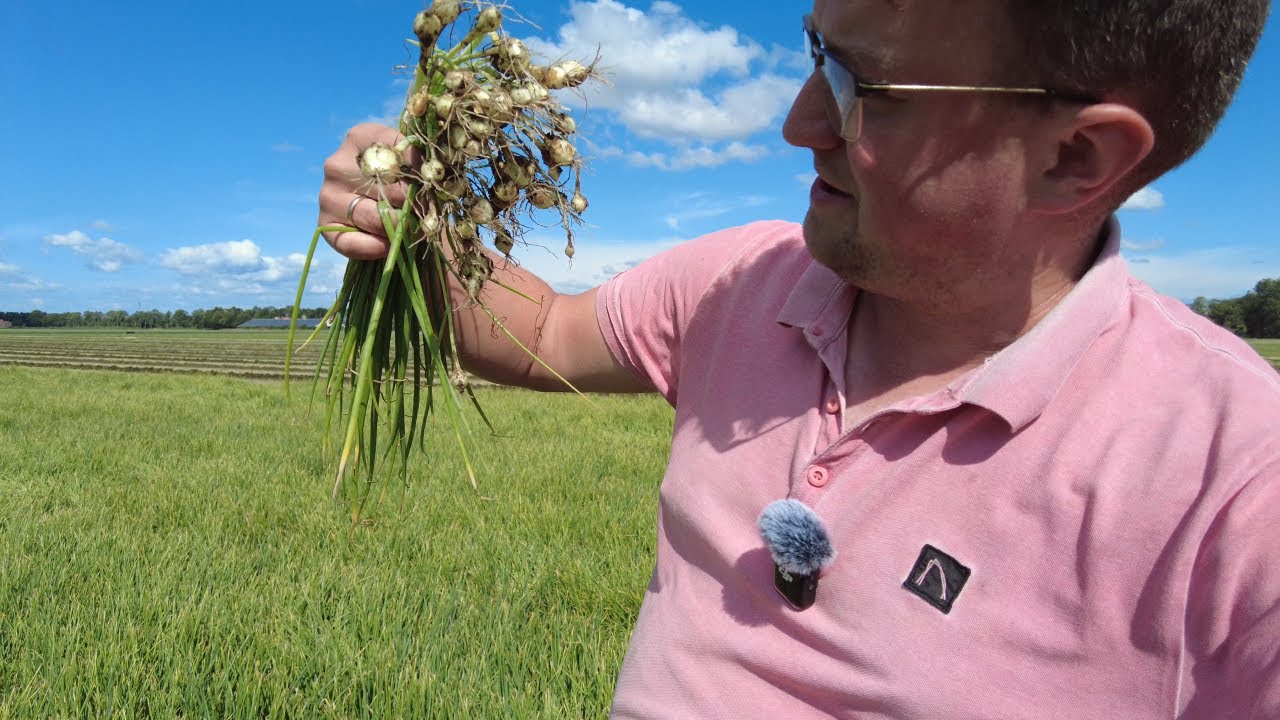 Plantuien laden (en beschrijving lezen) - Boerenvlog #84
