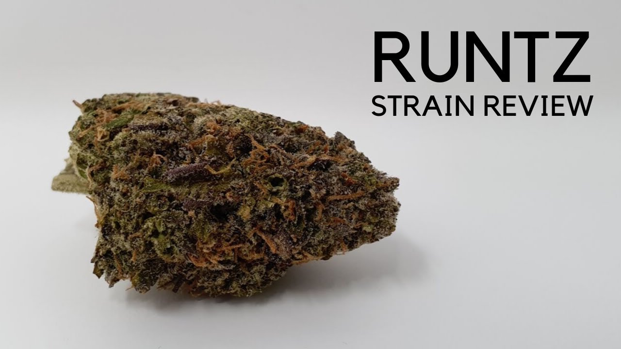 How Much Is A Gram Of Runtz