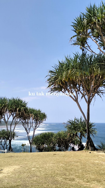 elkasih - kau tigakan cintaku (story wa)