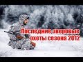 Последние зверовые охоты сезона 2012 (UKR)