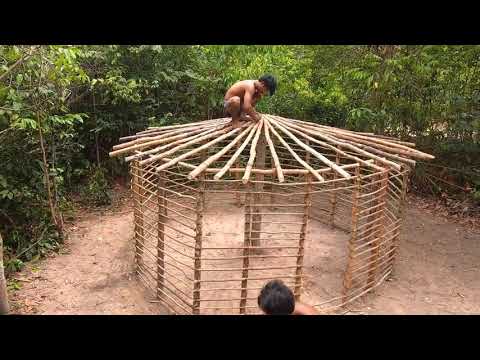 Vídeo: Mais de 130 cachorros salvos da fazenda de carne de cachorro coreana