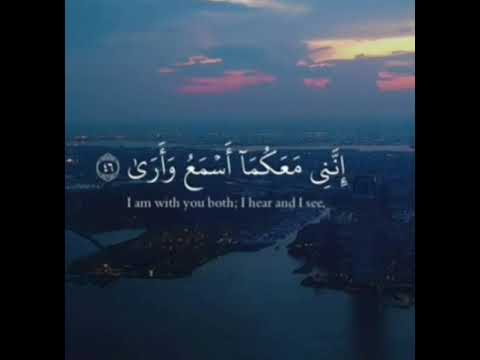 ملاحظه مو الايه الفيديوهات 3