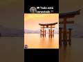 🇯🇵 Culturas Ocultas: El misterio del santuario de Itsukushima y los “ley lines” #historia #japón