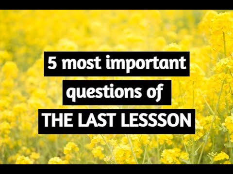 5 most important questions of THE LAST LESSON