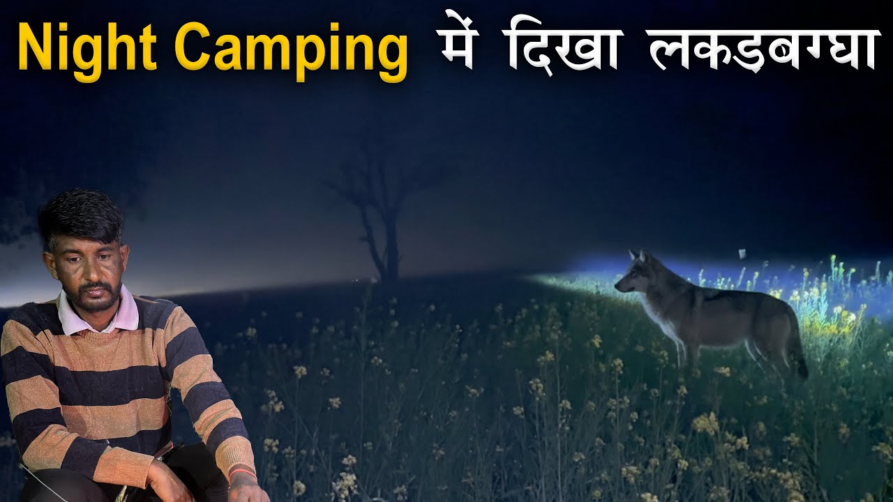 What Happens When You Encounter a LEOPARD at Night While Camping?