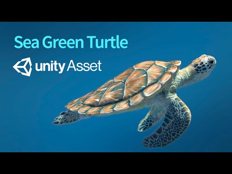 Sea Green Turtle 3D