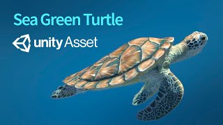 Sea Green Turtle 3D