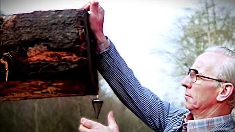 Watch Traditional Carpenters Milling Floorboards by Hand