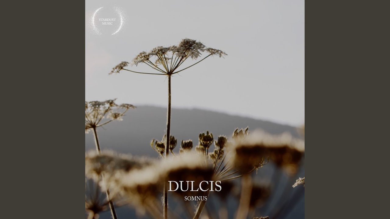 Guarda Dulcis su YouTube Guarda Dulcis su YouTube
