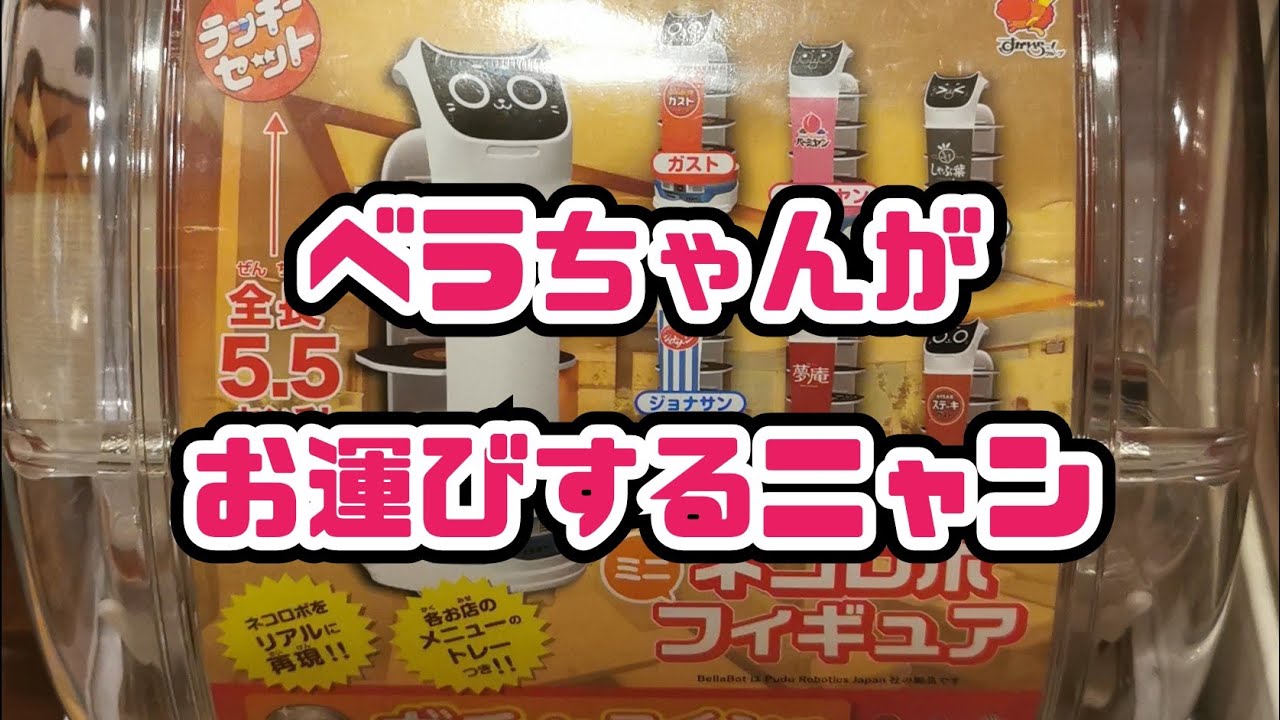 #84 ネコロボがついに発売！