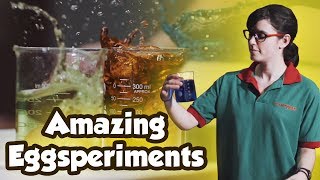Amazing Eggsperiments